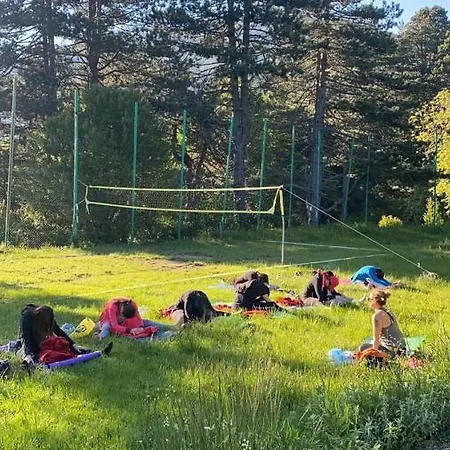 Shkreli Qafeshtame 4*