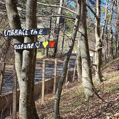 Shkreli Qafeshtame فندق 4*