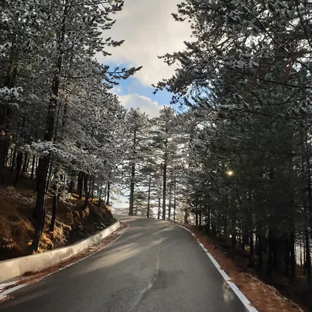 Shkreli Qafeshtame 4*