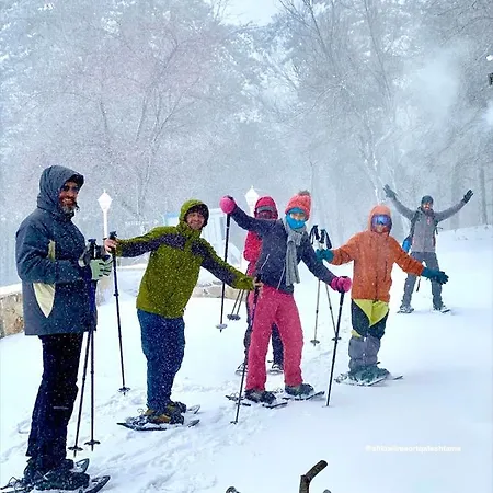 Shkreli Qafeshtame 4*