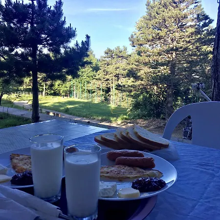 Shkreli Qafeshtame 4*