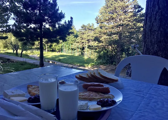 Shkreli Qafeshtame 4*